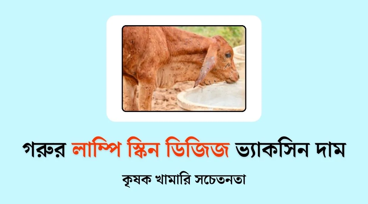 গরুর লাম্পি স্কিন ডিজিজ ভ্যাকসিন দাম