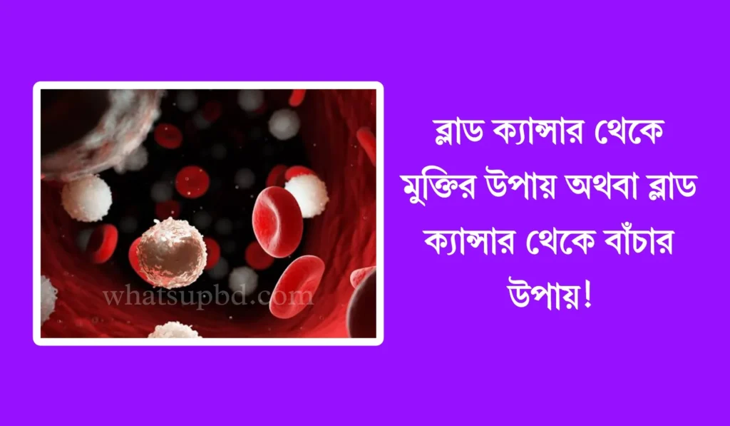 ব্লাড ক্যান্সার থেকে মুক্তির উপায় অথবা ব্লাড ক্যান্সার থেকে বাঁচার উপায়