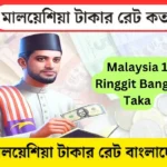 Malaysia 1 Ringgit Bangla Taka, আজ মালয়েশিয়া টাকার রেট কত , মালয়েশিয়া টাকার রেট বাংলাদেশ, বাংলাদেশি টাকায় বিভিন্ন দেশের আজকের টাকার রেট, 1 Malaysian ringgit to Bangladeshi takas,