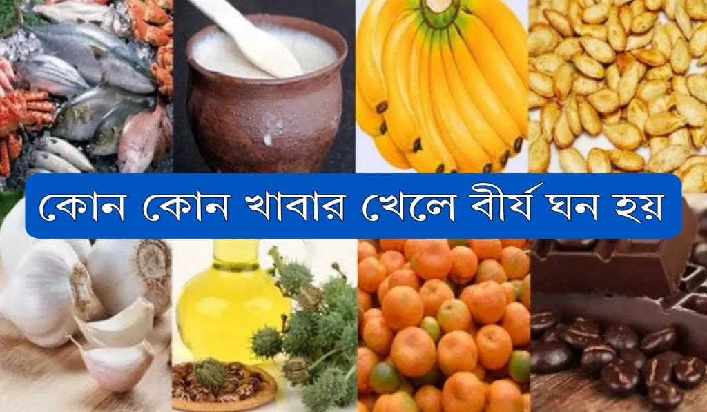 কোন কোন খাবার খেলে বীর্য ঘন হয়