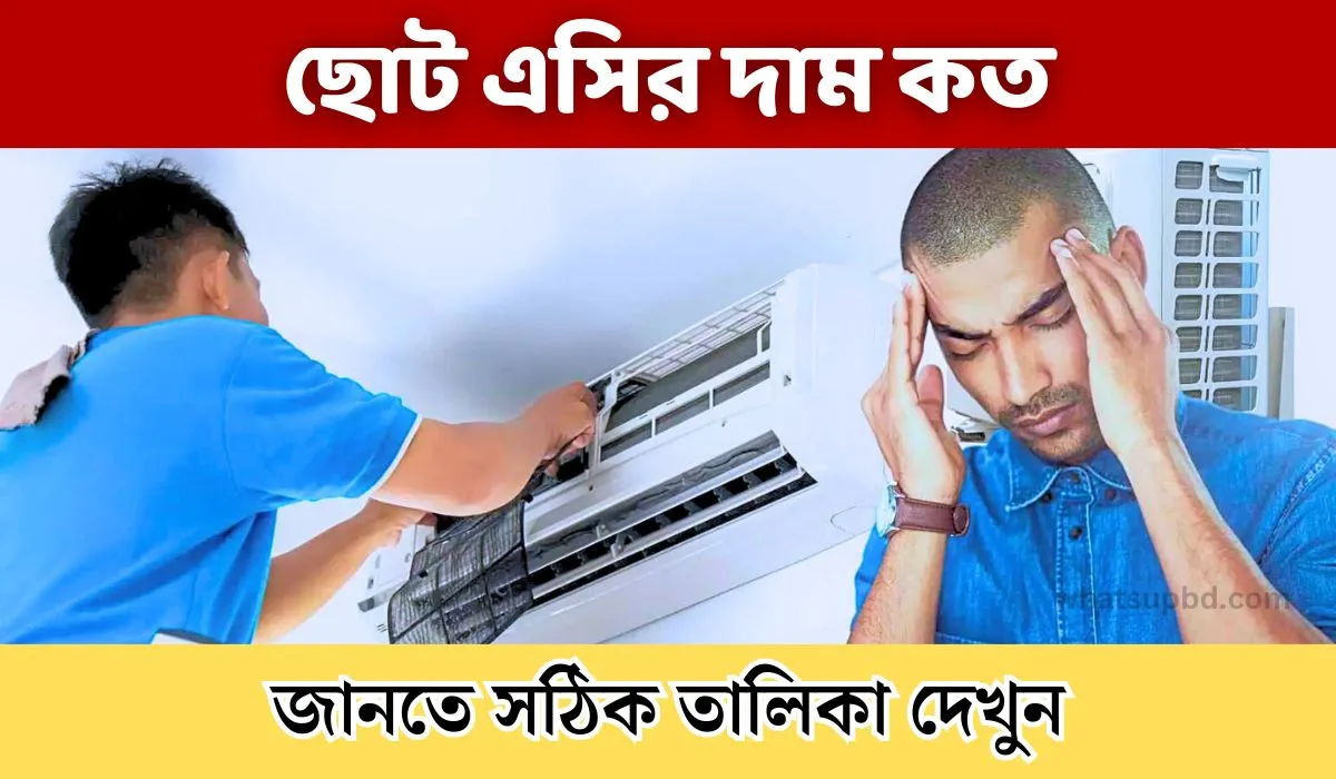 বর্তমানে বাজারে ছোট এসির দাম কত বাংলাদেশে