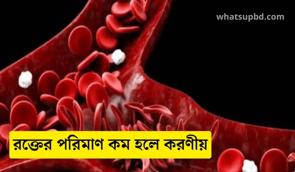 মানুষের শরীরে রক্তের পরিমাণ কত, মানুষের শরীরে রক্তের পরিমাণ কত শতাংশ, মানুষের শরীরে রক্তের পরিমাণ কত লিটার, একজন মানুষের শরীরে রক্তের পরিমাণ কত, রক্ত কাকে বলে, মানুষের রক্ত কত প্রকার, মানুষের রক্তের pH কত, মানুষের শরীরে কত পয়েন্ট রক্ত থাকে, রক্ত কিভাবে তৈরি হয়, রক্ত কত প্রকার,