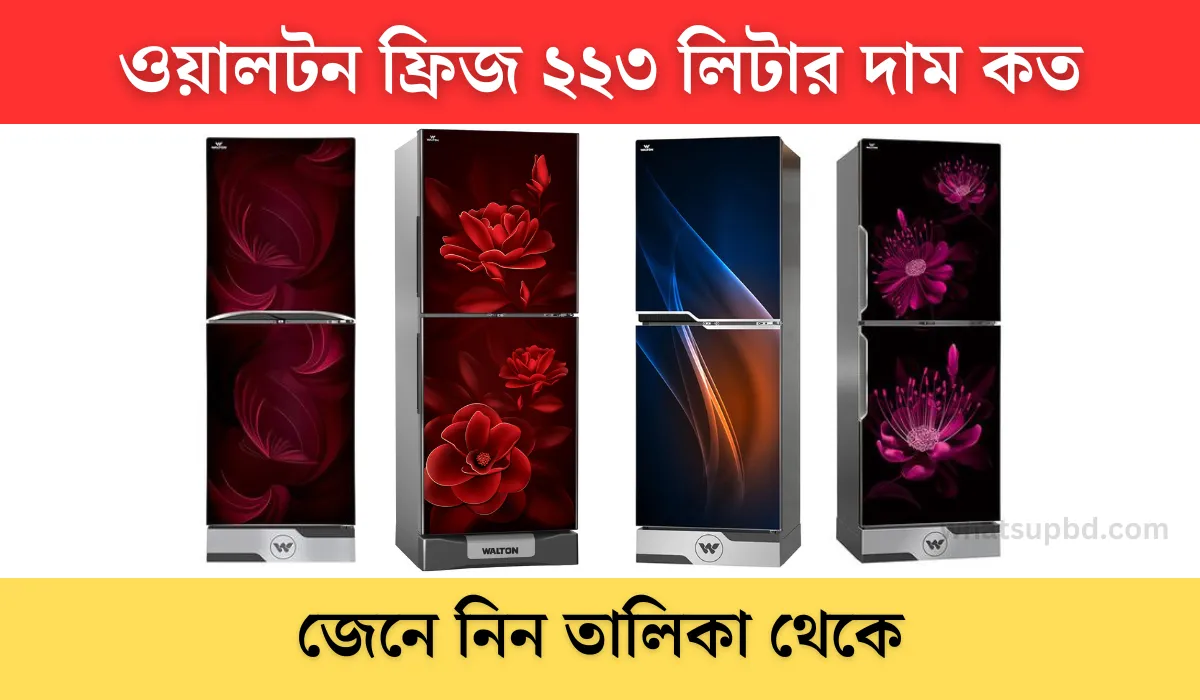 ওয়ালটন ফ্রিজ ২২৩ লিটার দাম কত, WFB-2B3-GDSH-XX, আজকের ওয়ালটন ফ্রিজ 213 লিটার দাম কত, walton refrigerator 213 ltr price in bangladesh, walton 213 liter price in bangladesh, walton freeze 213 litre price in bangladesh, walton fridge 213 ltr price in bangladesh,