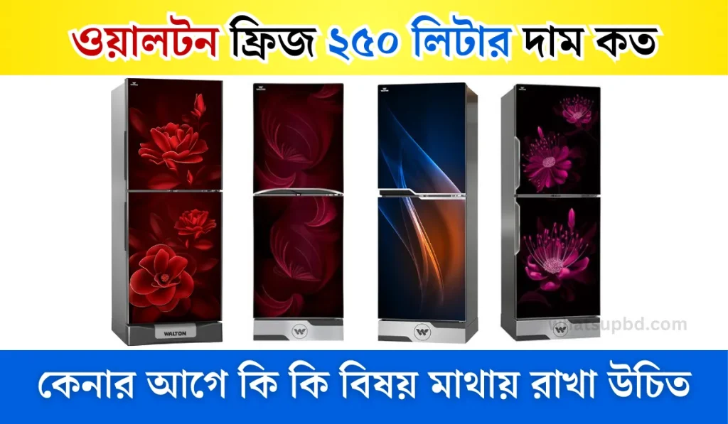 ওয়ালটন ফ্রিজ ২৫০ লিটার দাম কত, Direct Cool Refrigerator Price, ওয়ালটন ফ্রিজ বাংলাদেশ প্রাইস,