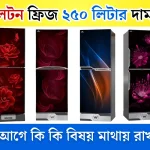 ওয়ালটন ফ্রিজ ২৫০ লিটার দাম কত, Direct Cool Refrigerator Price, ওয়ালটন ফ্রিজ বাংলাদেশ প্রাইস,