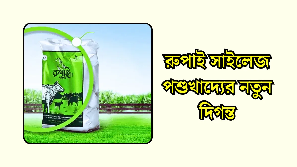 বাংলাদেশে সাইলেজ কোথায় পাওয়া যায় এবং সাইলেজের দাম জানুন।