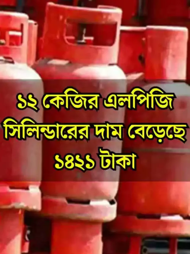 lpg gas price