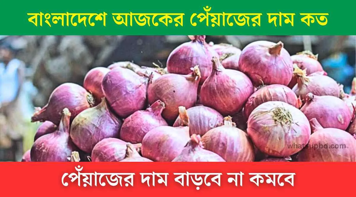 বাংলাদেশে আজকের পেঁয়াজের দাম কত