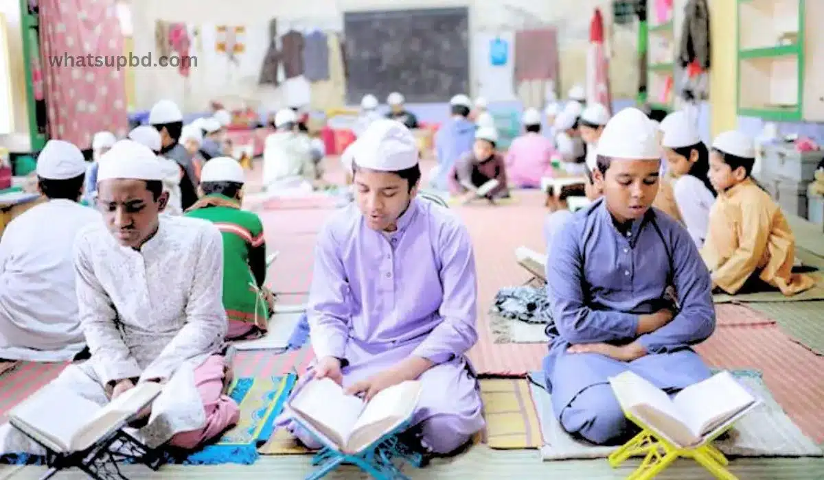 বাংলাদেশে মাদ্রাসা শিক্ষকদের বেতন কত, জানতে পড়ুন মাদ্রাসা শিক্ষকের ভূমিকা