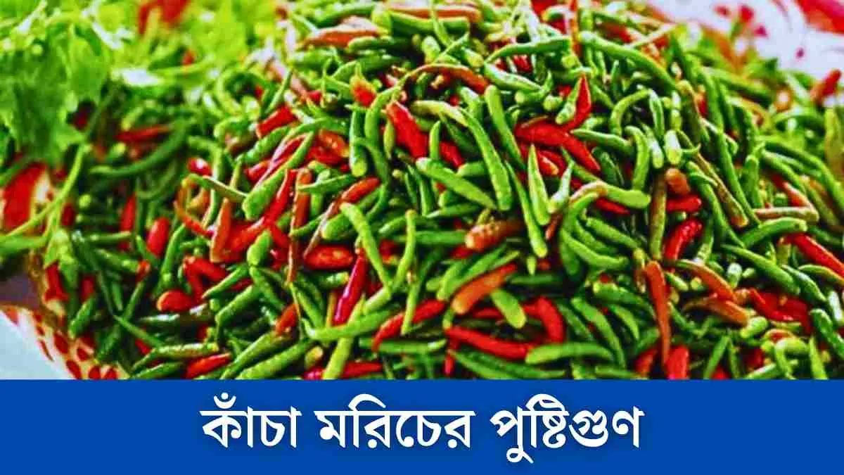 আজকের কাঁচা মরিচের দাম কত ১৪ নভেম্বর ২০২৪ - জানুন এই তালিকায়।