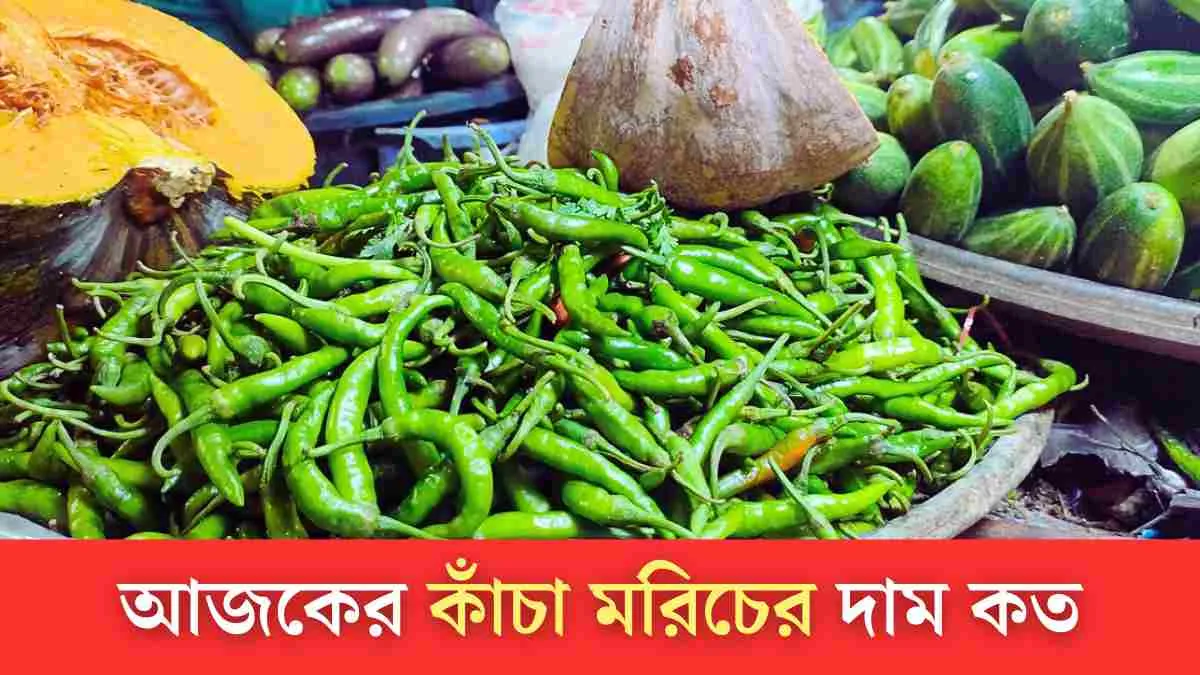 আজকের কাঁচা মরিচের দাম কত।