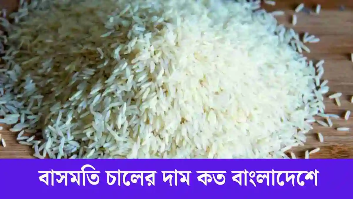 বাসমতি চালের দাম কত বাংলাদেশে