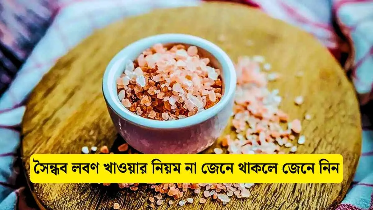 সৈন্ধব লবণ খাওয়ার নিয়ম না জেনে থাকলে জেনে নিন।