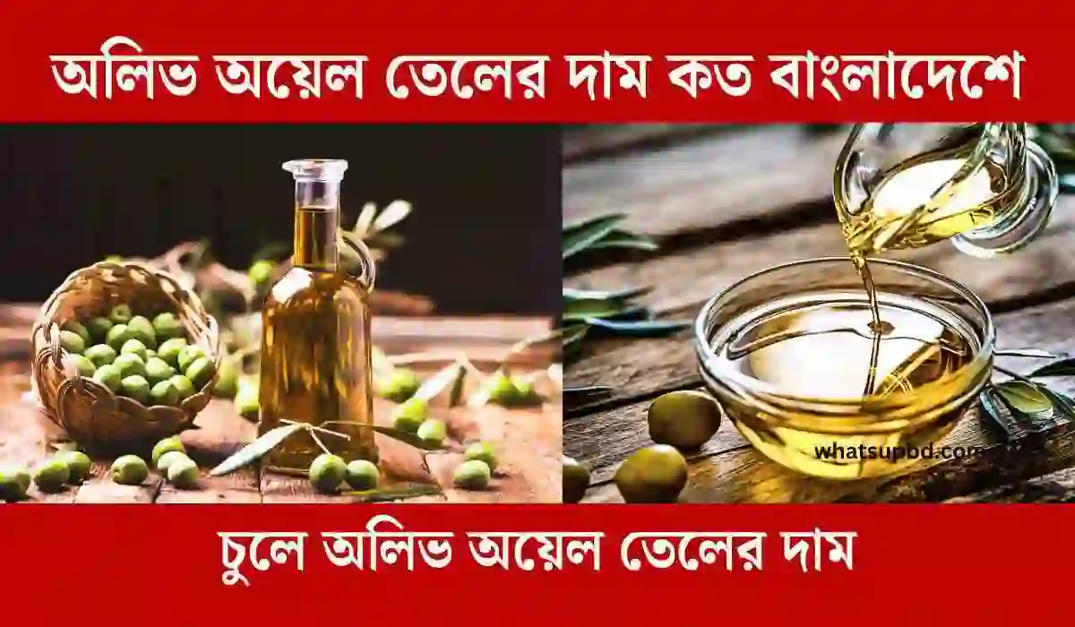 অলিভ অয়েল তেলের দাম কত, চুলে অলিভ অয়েল তেলের দাম, অলিভ অয়েল তেলের দাম কত ১ লিটার, অলিভ অয়েল তেলের দাম কত বাংলাদেশে, অলিভ অয়েল তেলের দাম, বাচ্চাদের অলিভ অয়েল তেলের দাম কত, ত্বকের অলিভ অয়েল তেলের দাম কত, অলিভ অয়েল তেলের দাম কত ১০০ মিলি,Whatsupbd.